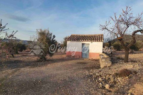 Grond in Biar, Alicante, Biar - € 65.000 | Ref: SF0442 - foto 1